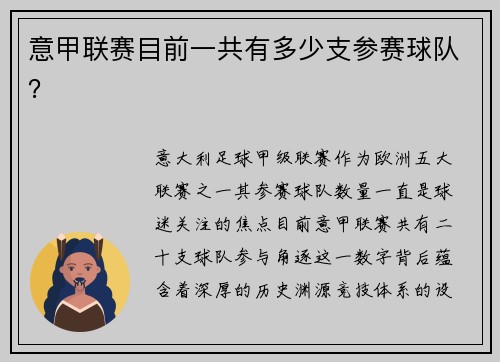 意甲联赛目前一共有多少支参赛球队？