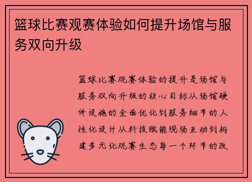篮球比赛观赛体验如何提升场馆与服务双向升级